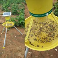 Solar Insects Light Trap
