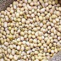 Soya Bean Seeds