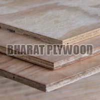 Poplar Plywood (9mm)