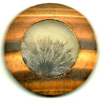 Framed Dendrite Agate