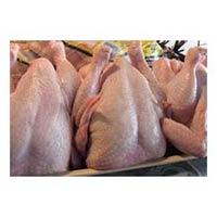 Frozen Whole Chicken,  Application : Household, Mess, Hotel