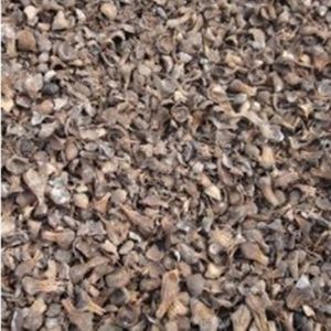 Palm Kernel Shell