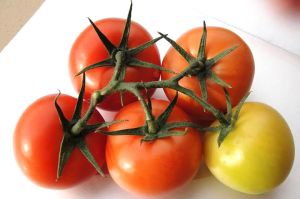 fresh tomato,  Storage : Refrigerate