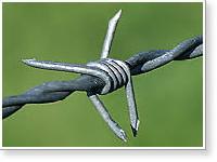 Barbed Wire