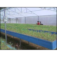 FRP Horticulture Plantation Trays