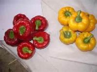 Fresh Peppers
