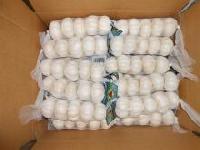 Fresh, Organic & Preserved Vegetables