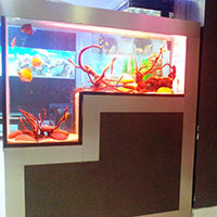 Customized Aquarium