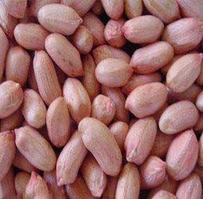 Peanut Kernels