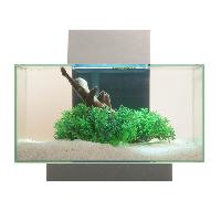 fish aquariums