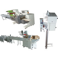 Servo Motor Packaging Line