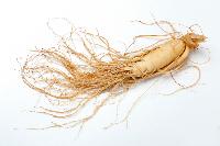 Ginseng extract