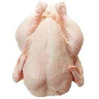 Frozen Halal Chicken