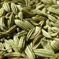 fennel seeds