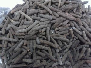 Paper & Paper Products