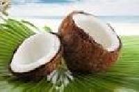 fresh coconuts