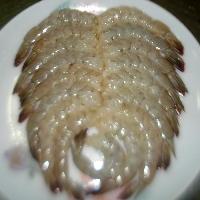 Frozen Vannamei Shrimp Tails
