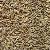 cumin seeds