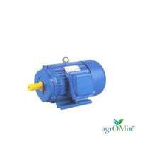 Agromill Electric Motor