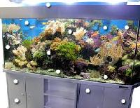 Marine Tanks