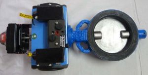 Butterfly Valve