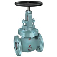 (150 to 600) Globe Valve