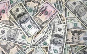 Fresh Cut Instruments