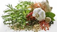 Organic Herbs
