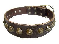 Dog Leather Collar