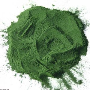 Spirulina Spirulina