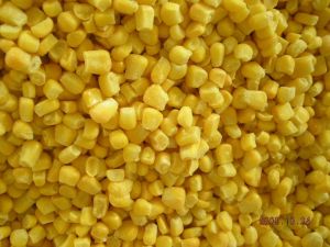 yellow corn yellow corn
