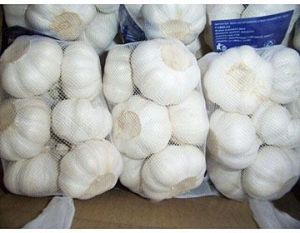 fresh garlic,  Feature : Moisture Proof, Gluten Free