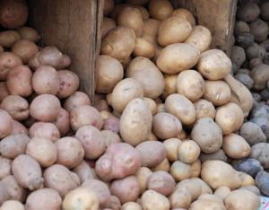 fresh potatoes