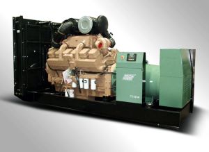Diesel Generator Sets, Brand Name : Westinpower