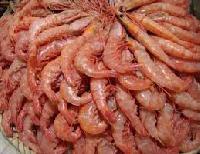 Shrimps