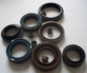 Oil Seals