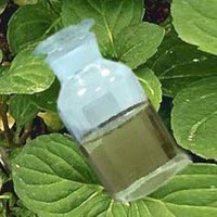 Peppermint Essential Oil