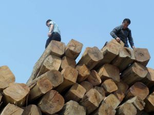 teak wood,  Material : Teak Wood