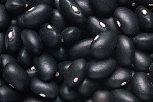 Black Kidney Beans