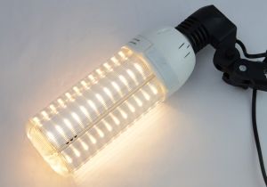 LED Bulbs