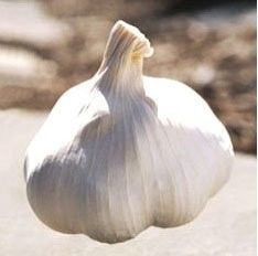 Chinese Fresh Garlic