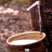 Natural Latex Rubber