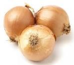 fresh onion