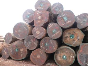 African Hardwood Timber Logs, Lumber