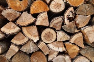 Beech Firewood