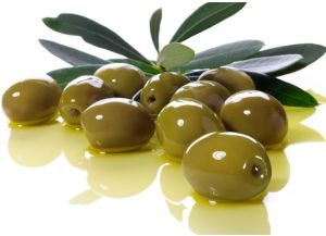 High Quality Olive Extract Powder High Quality Olive Extract Powder