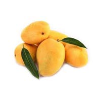 fresh mangoes