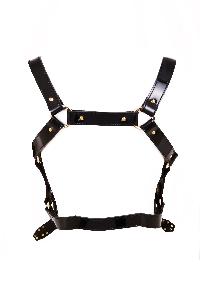 Leather Harness