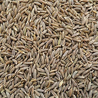 cumin seeds