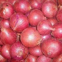 Fresh Indian Red Onion